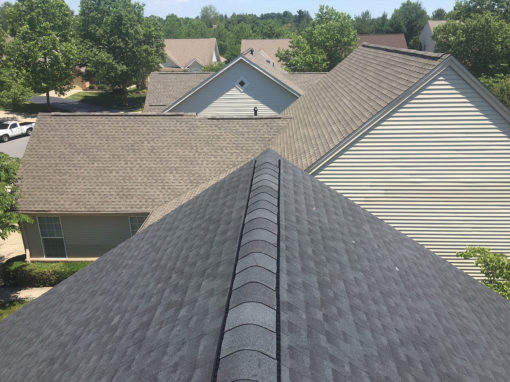 GAF 50 Year Architectural Shingle